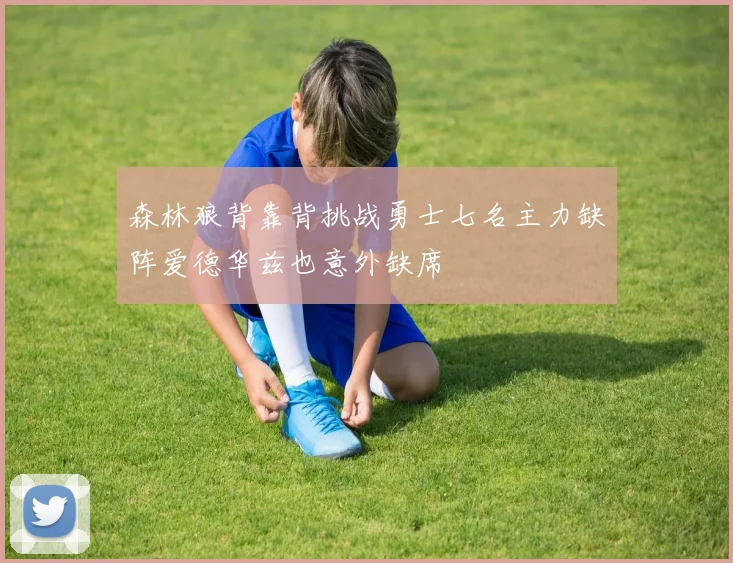 森林狼背靠背挑战勇士七名主力缺阵爱德华兹也意外缺席