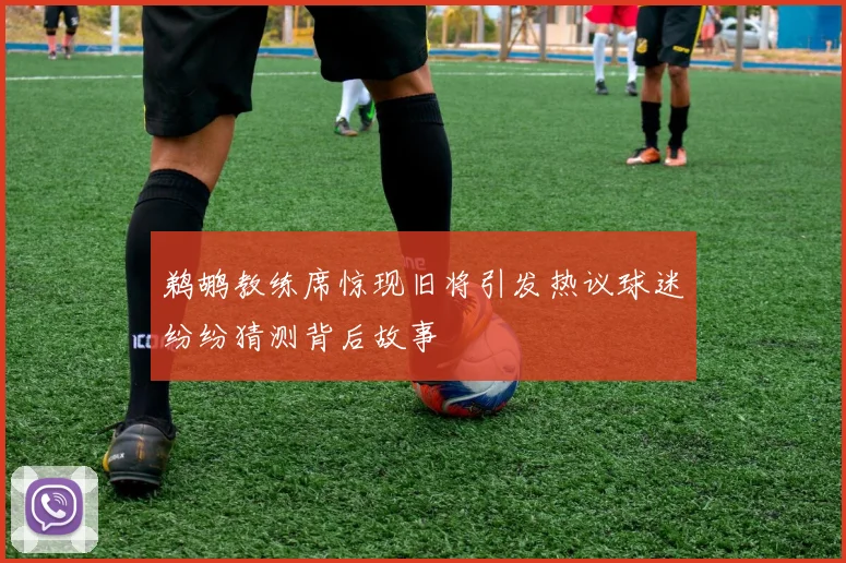 鹈鹕教练席惊现旧将引发热议球迷纷纷猜测背后故事