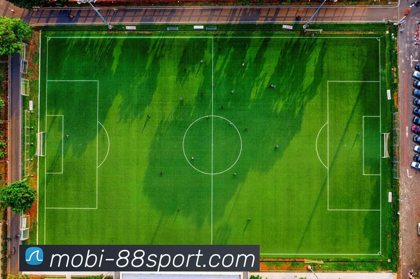 88体育服务体系